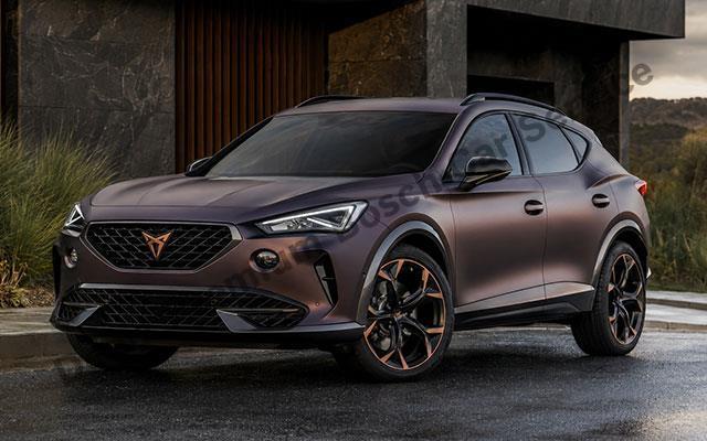 Cupra Servisi
